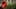 Miniatura de la captura de pantalla del juego 3