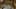 Miniature af spil-screenshot 5