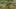 Miniatura de la captura de pantalla del juego 2