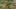 Miniature af spil-screenshot 2