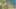 Thumbnail Spiel-Screenshot 2