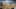 Miniature af spil-screenshot 4