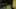 Thumbnail Spiel-Screenshot 4