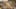 Miniature af spil-screenshot 3