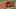 Thumbnail Spiel-Screenshot 4