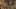 Thumbnail Spiel-Screenshot 5