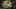Thumbnail Spiel-Screenshot 4