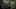 Thumbnail Spiel-Screenshot 5