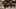 Thumbnail Spiel-Screenshot 4