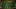 Thumbnail Spiel-Screenshot 4
