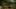 Thumbnail gamescreenshot 1