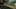 Thumbnail gamescreenshot 3