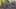 Miniature af spil-screenshot 4