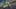 Game screenshot thumbnail 5