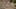 Miniature af spil-screenshot 5