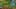 Thumbnail Spiel-Screenshot 4