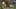 Thumbnail gamescreenshot 5