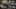 Miniature af spil-screenshot 2