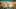Thumbnail Spiel-Screenshot 1