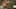 Miniature af spil-screenshot 1
