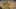 Miniature af spil-screenshot 2