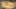 Miniature af spil-screenshot 2