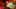 Miniatura de la captura de pantalla del juego 1