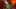 Miniatura de la captura de pantalla del juego 2
