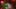 Miniatura de la captura de pantalla del juego 3