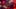Miniatura de la captura de pantalla del juego 4