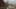 Miniatura de la captura de pantalla del juego 5