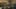 Miniatura de la captura de pantalla del juego 3