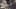Miniature af spil-screenshot 2