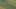 Miniatura de la captura de pantalla del juego 5