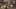 Miniature af spil-screenshot 1