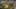 Miniature af spil-screenshot 1