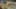 Miniature af spil-screenshot 3