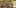 Miniatura da captura de ecrã do jogo 4