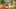 Miniature af spil-screenshot 4