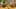 Miniature af spil-screenshot 5
