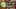 Thumbnail Spiel-Screenshot 5