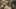 Miniatura de la captura de pantalla del juego 2