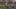 Thumbnail Spiel-Screenshot 2