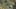 Miniatura de captura de tela do jogo 1