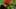 Miniature af spil-screenshot 5