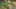 Thumbnail Spiel-Screenshot 3