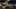Miniature af spil-screenshot 3