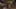 Miniature af spil-screenshot 4
