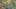 Thumbnail Spiel-Screenshot 3