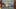 Miniature af spil-screenshot 1